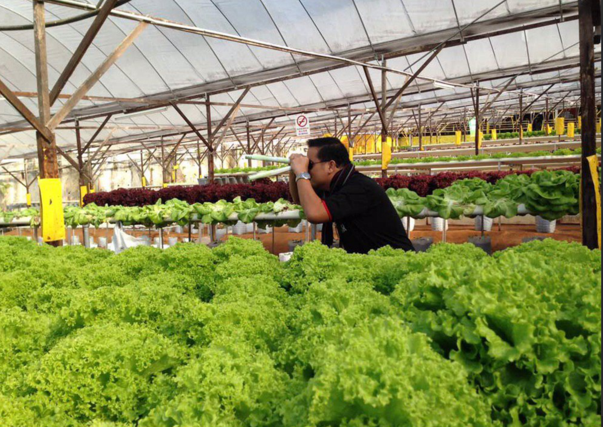 Makanan Mahal Di Cameron Highlands? – Part 1