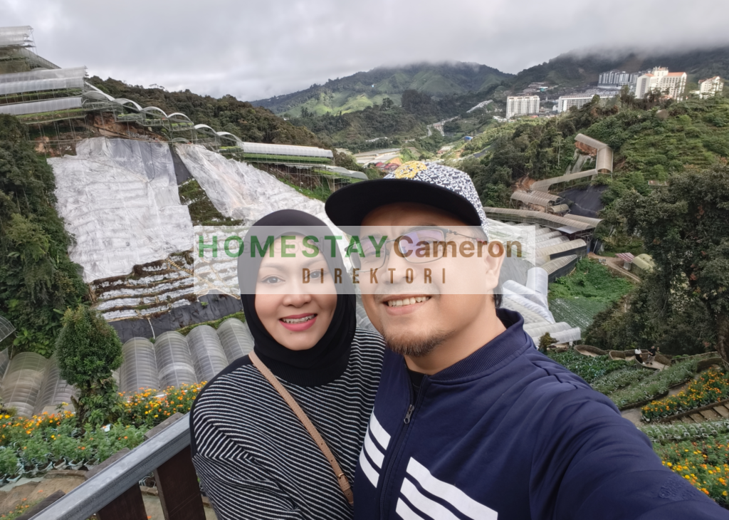 Webpage Untuk Pengusaha Homestay di Cameron Highlands!